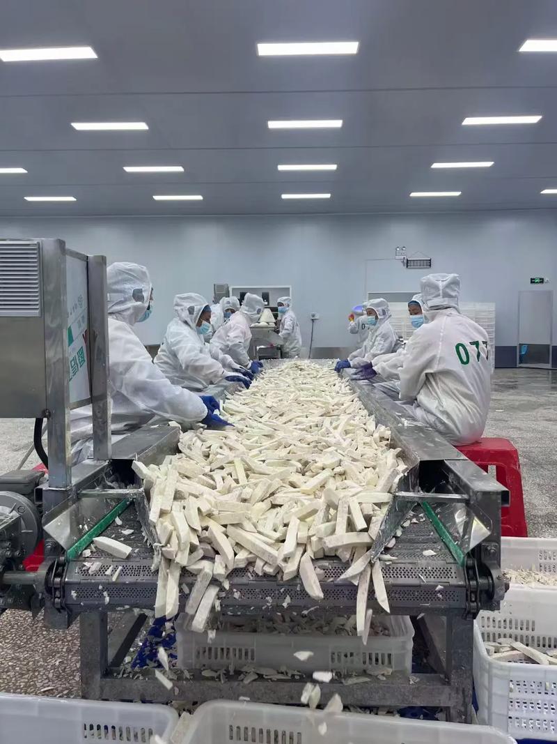 世界長(zhǎng)壽之鄉(xiāng)·中國(guó)香芋之鄉(xiāng) 芋頭產(chǎn)業(yè)鏈與鮮活水產(chǎn)品的綠色交響