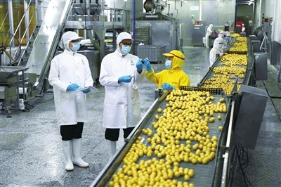 中國(guó)預(yù)制菜產(chǎn)業(yè)全面起航 賦能農(nóng)業(yè)升級(jí)，打造舌尖上的新經(jīng)濟(jì)